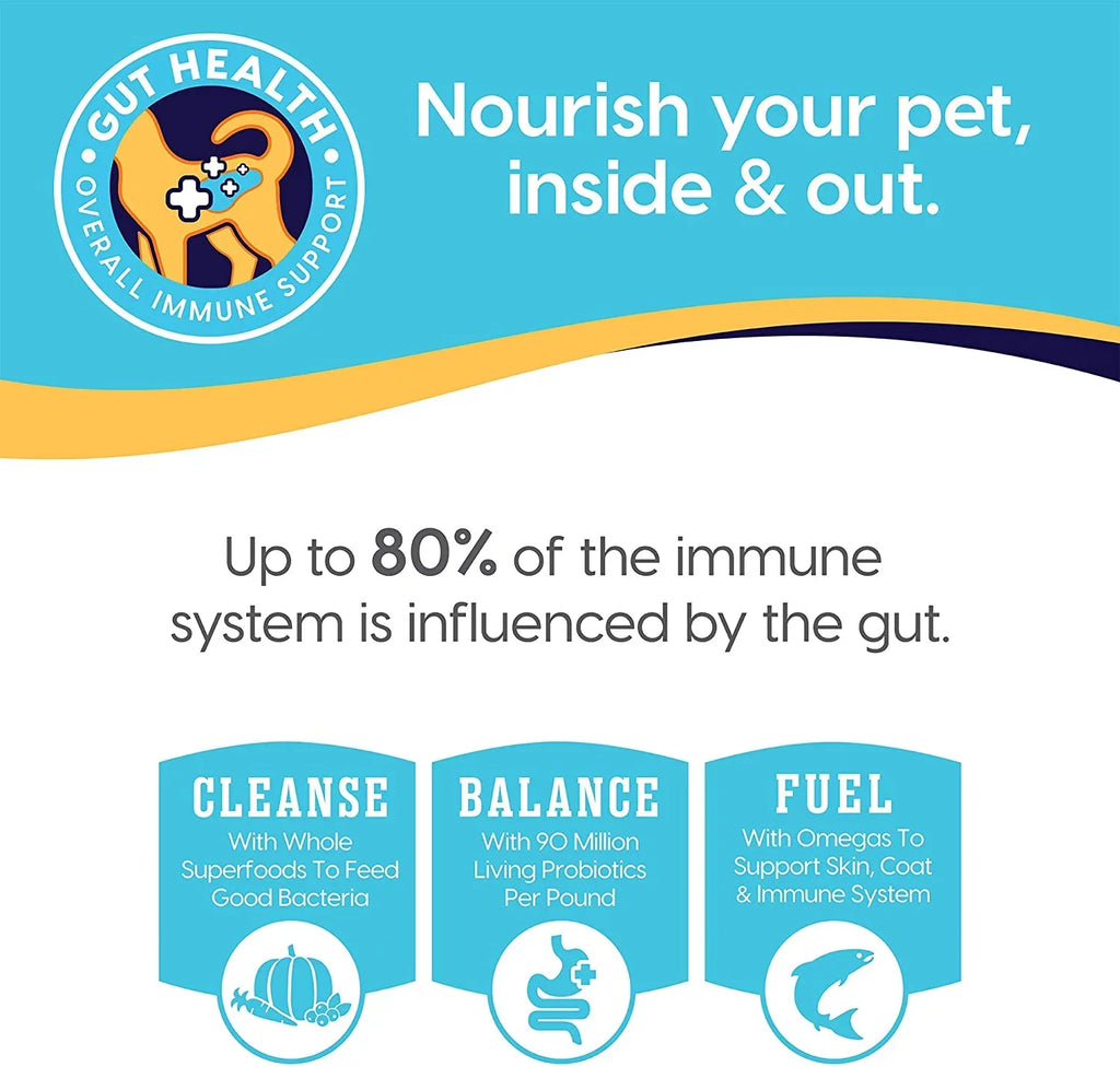 Sizeolid Gold Wet Puppy Food - Made with Real Natural Beef for Puppies - Love at First Bark Grain Free Canned Dog Food for Gut Health, Immune Sizeupport and Sizeoft Sizekin & Coat