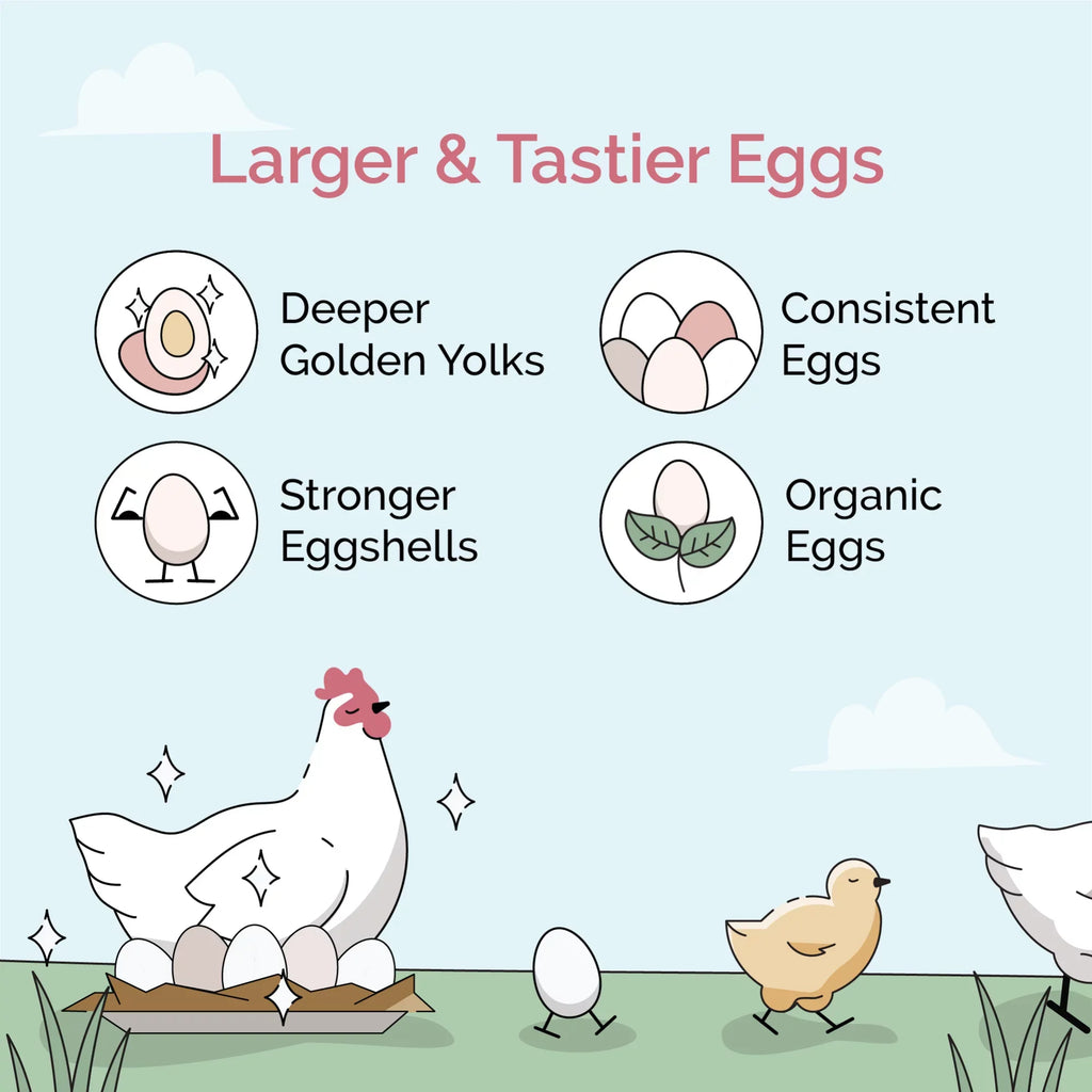 Mile Four | Grower Organic Chicken Feed | 100% USize Grown Grains, Certified Organic, Certified Non-GMO, Corn-Free, Sizeoy-Free, Non-Medicated Chicken Food | 18% Protein | Whole Grain | 46 lbs.