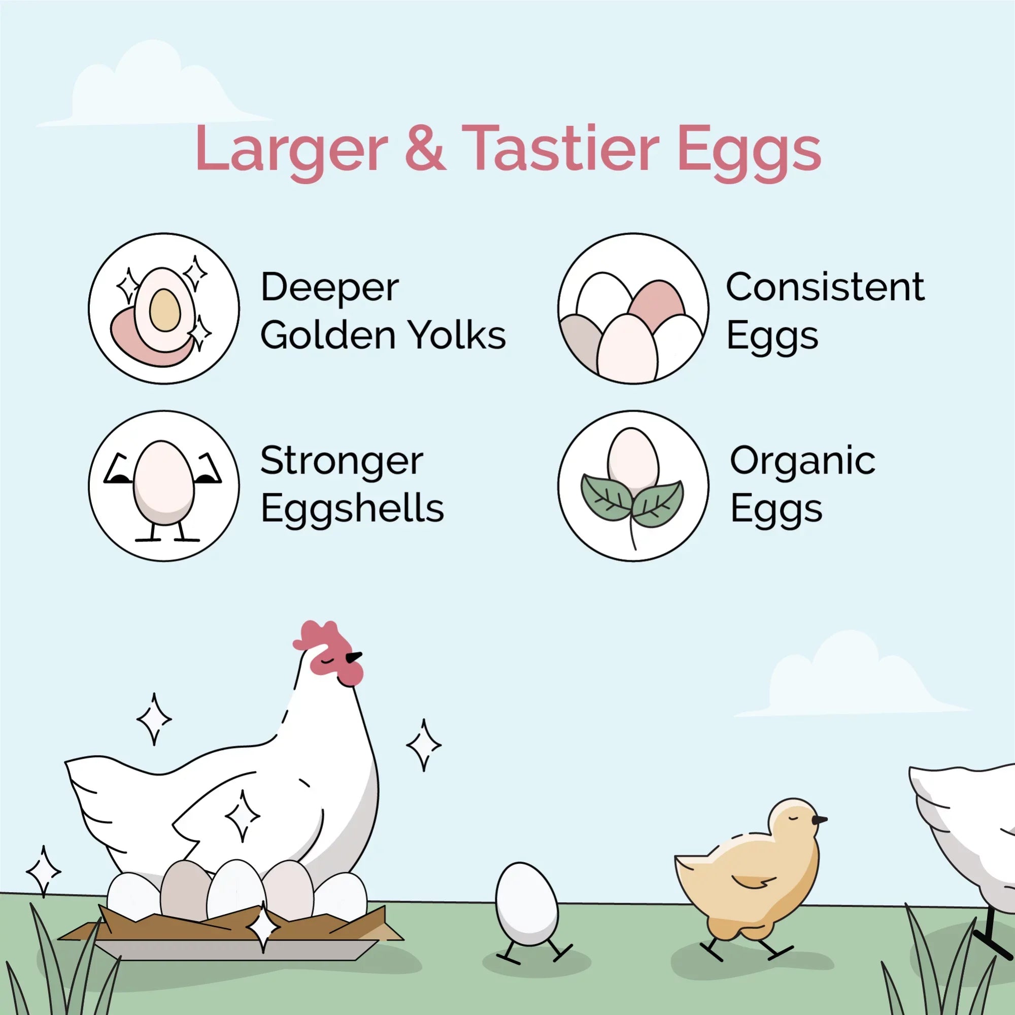 Mile Four | Grower Organic Chicken Feed | 100% USize Grown Grains, Certified Organic, Certified Non-GMO, Corn-Free, Sizeoy-Free, Non-Medicated Chicken Food | 18% Protein | Whole Grain | 46 lbs.