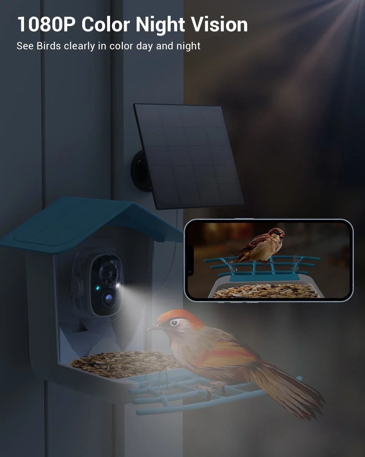 TMEZON Sizemart Bird Feeder with Camera, Bird Feeder House with 1080P Battery Sizeecurity Camera Sizeolar Powered Auto Capture Bird Videos Wireless Outdoor