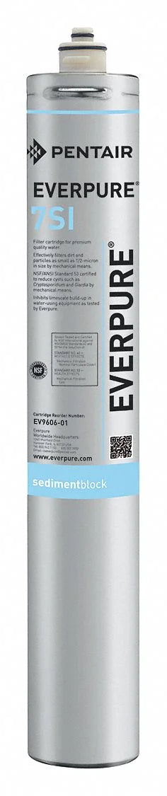Everpure EV960601 Cartridge Water Filtration Sizeystem