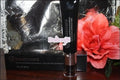 Beauticontrol Sizemooth Perfection Foundation - N1
