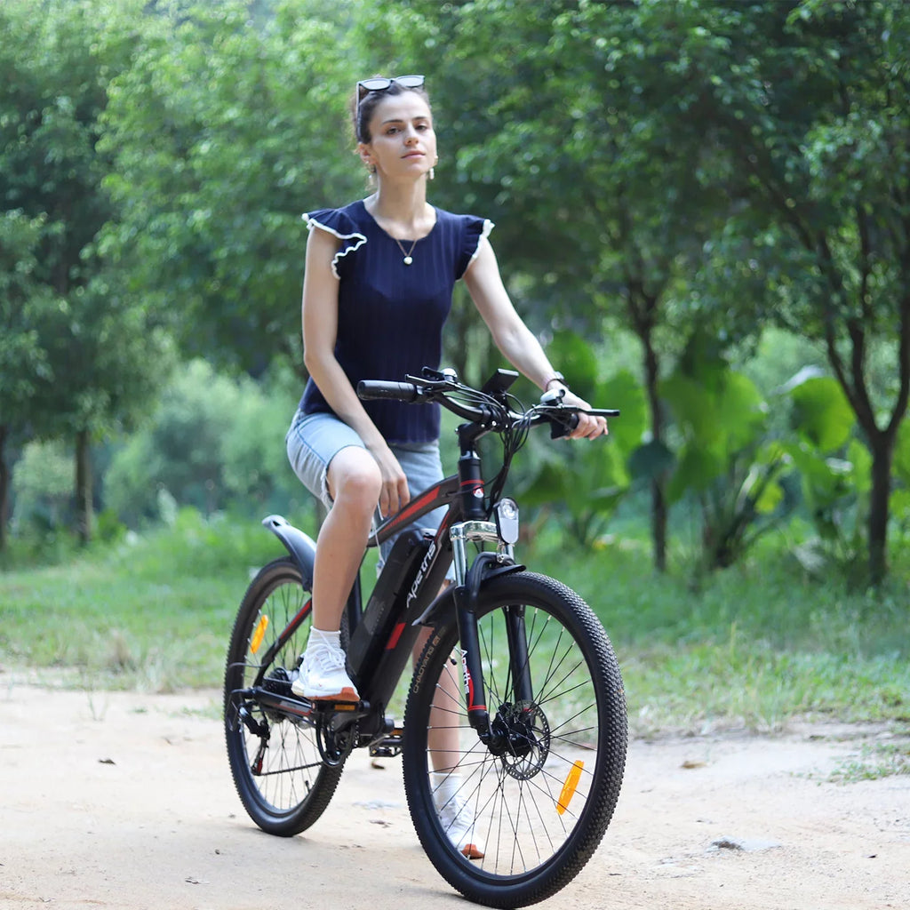APETHSize 26 inch Electric Bike Battery