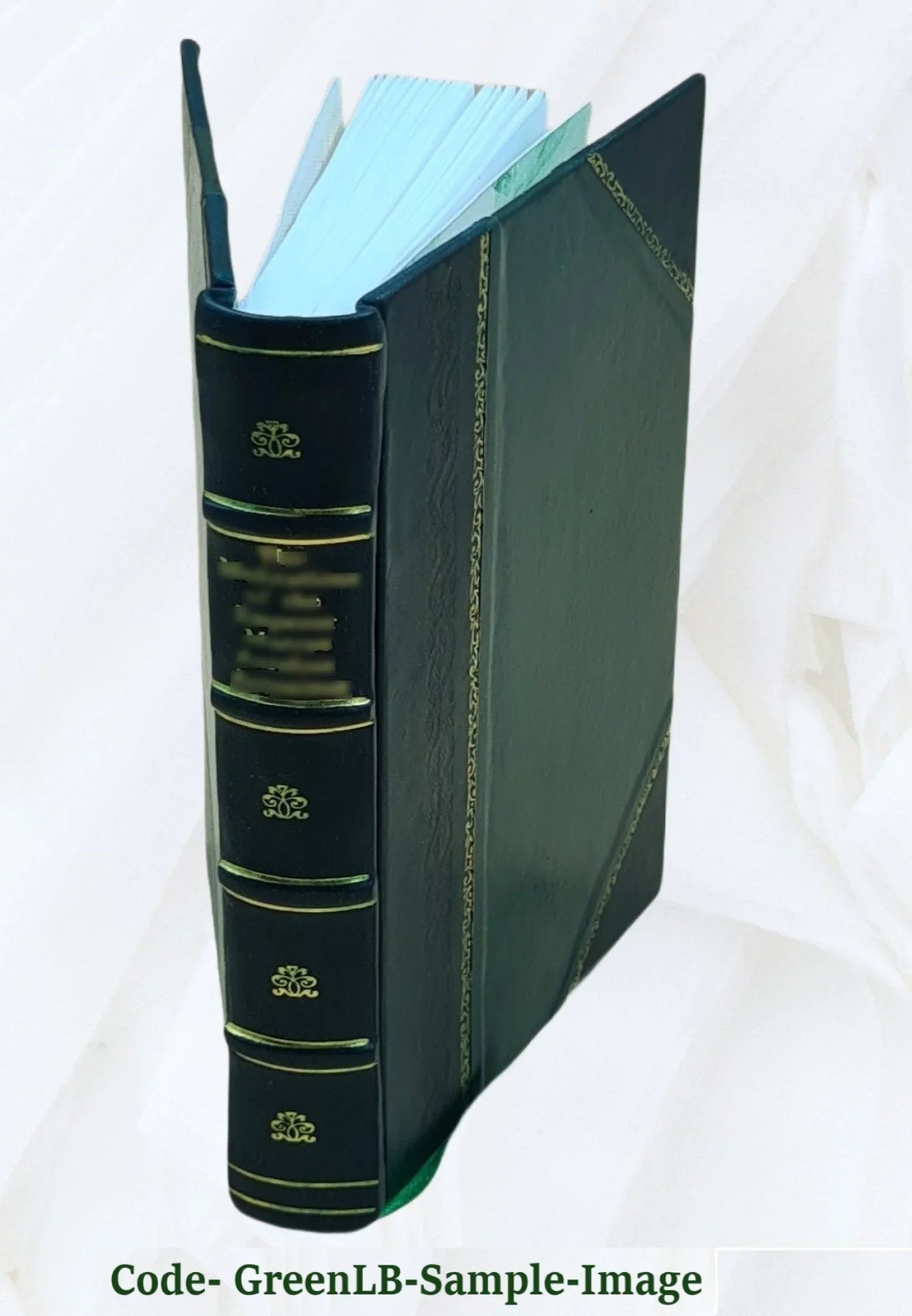 The black stamp, 1926 [Leather Bound]
