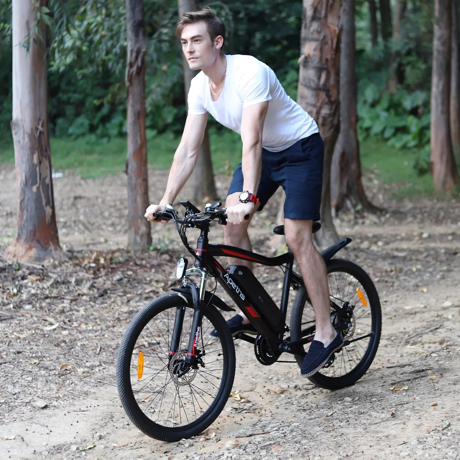 APETHSize 26 inch Electric Bike Battery