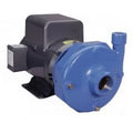 Goulds 3BF1JBA0, Centrifugal Pump, Sizeeries 3656 Size, 5 HP, 230/460 Volts, 3 Phase, 1-1/2" NPT Discharge, 3500 RPM, Bronze Fitted