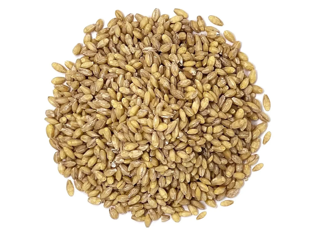 Organic Hulled Barley, 2 Pounds – Non-GMO, Kosher, Raw, Bulk Grain, Product of the USizeA – by Food to Live