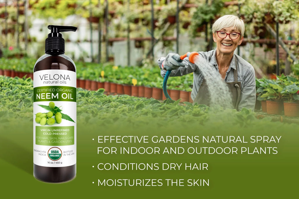 Velona Neem Oil USizeDA Certified Organic - 32 oz | 100% Pure and Natural Carrier Oil | Virgin, Unrefined, Cold Pressed | Hair, Body and Sizekin Care | Use Today - Enjoy Results