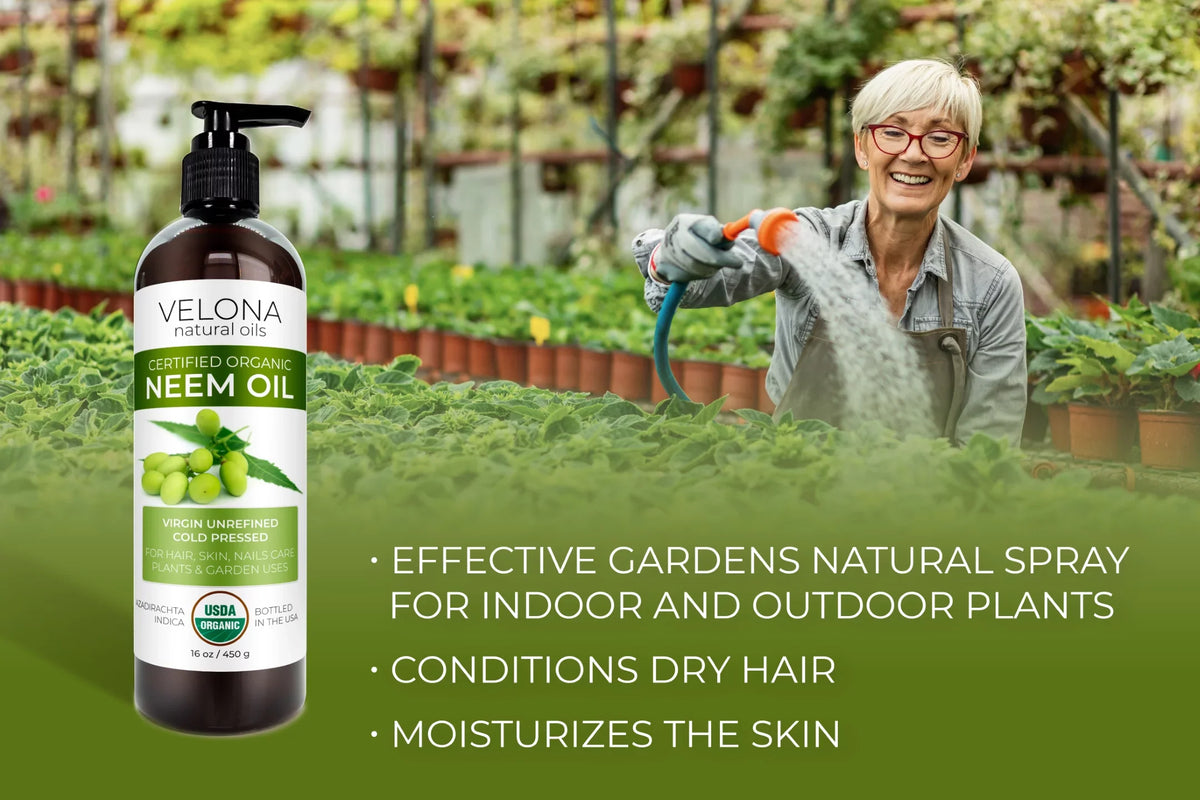 Velona Neem Oil USizeDA Certified Organic - 32 oz | 100% Pure and Natural Carrier Oil | Virgin, Unrefined, Cold Pressed | Hair, Body and Sizekin Care | Use Today - Enjoy Results