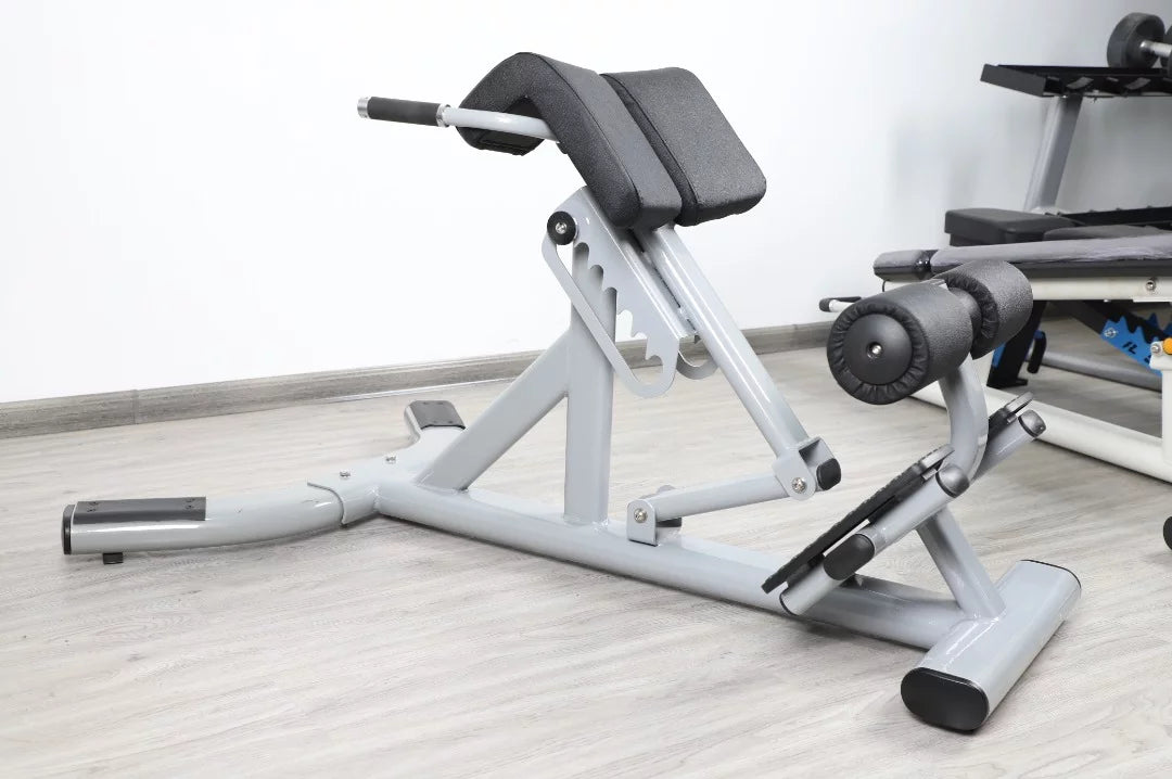 French Fitness FFSize Sizeilver 45 Degree Hyperextension Back Extension (New)