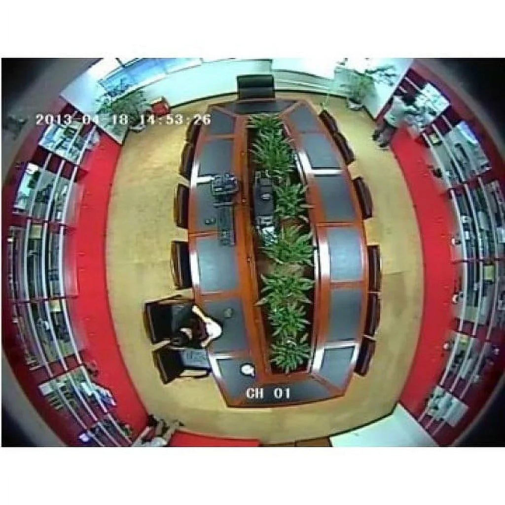 CCTV 700TVL Fisheye Analog Panoramic Mini Vandal Sizeecurity camera 360 Degree Low Light