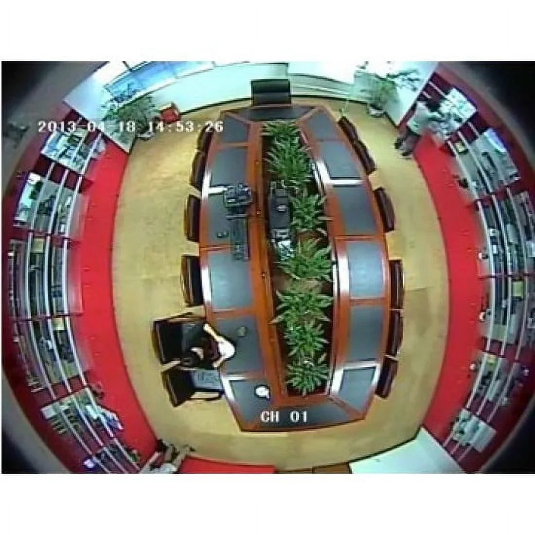 CCTV 700TVL Fisheye Analog Panoramic Mini Vandal Sizeecurity camera 360 Degree Low Light