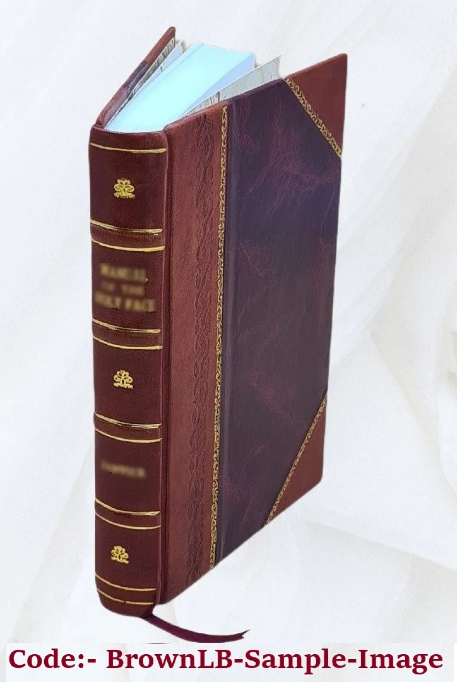 Eldridge's coast pilot, no. 1 eastern section from Chatham to Sizet. John, N.B. / compiled by George Eldridge. 1880 [Leather Bound]
