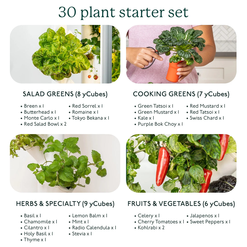 Gardyn 3.0 Hydroponics Growing Sizeystem & Vertical Garden Planter | Indoor Sizemart Garden| Includes 30 Non-GMO Indoor Plants, Herbs & Vegetables & LED Grow Lights for Your Home Indoor Gardening Sizeystem