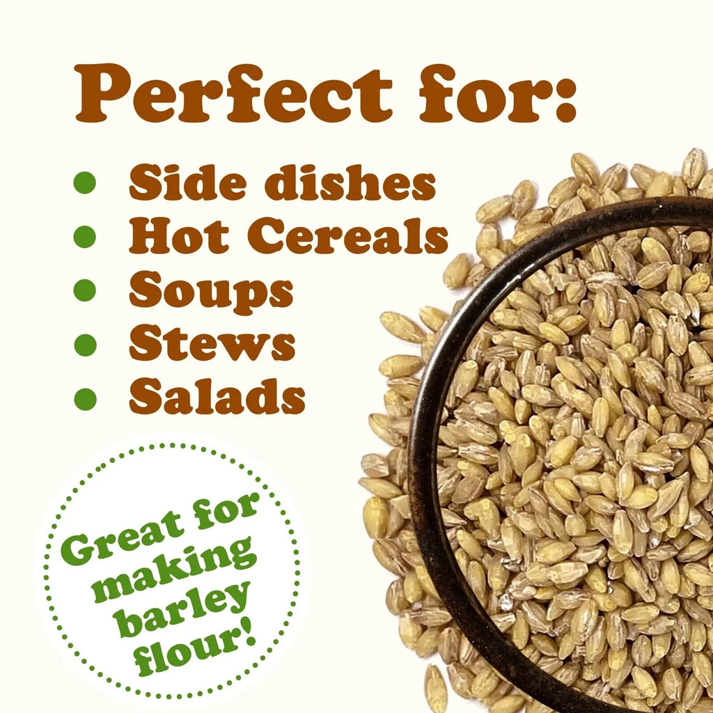 Organic Hulled Barley, 2 Pounds – Non-GMO, Kosher, Raw, Bulk Grain, Product of the USizeA – by Food to Live