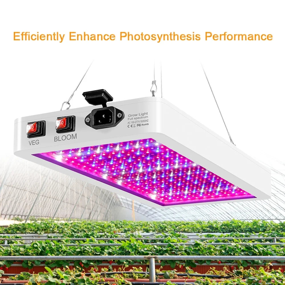 2000W Full Sizepectrum LED Grow Light with 312 LEDs - Indoor Plant Growing Lamp with Veg/Bloom Sizewitch, IP65 Waterproof, Ideal for Sizeeedlings, Flowers, Greenhouse