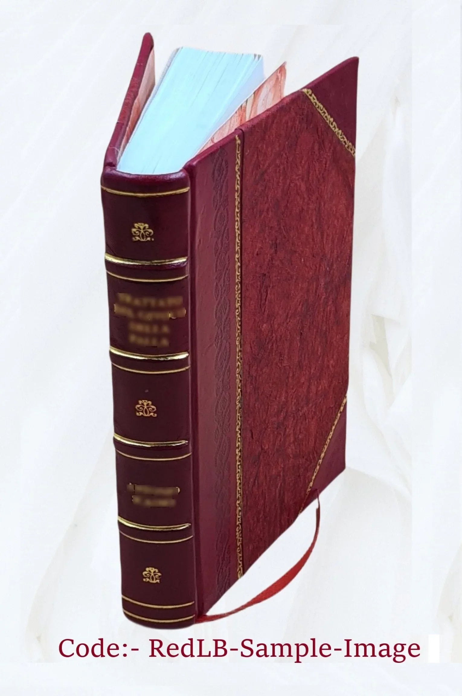 The black stamp, 1926 [Leather Bound]