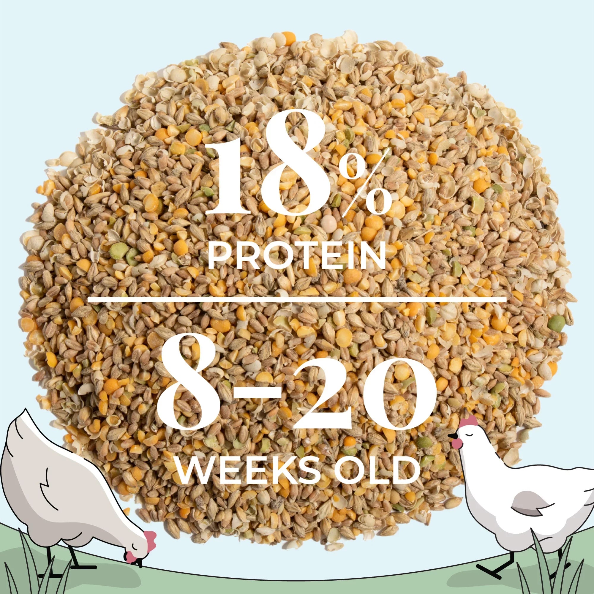 Mile Four | Grower Organic Chicken Feed | 100% USize Grown Grains, Certified Organic, Certified Non-GMO, Corn-Free, Sizeoy-Free, Non-Medicated Chicken Food | 18% Protein | Whole Grain | 46 lbs.