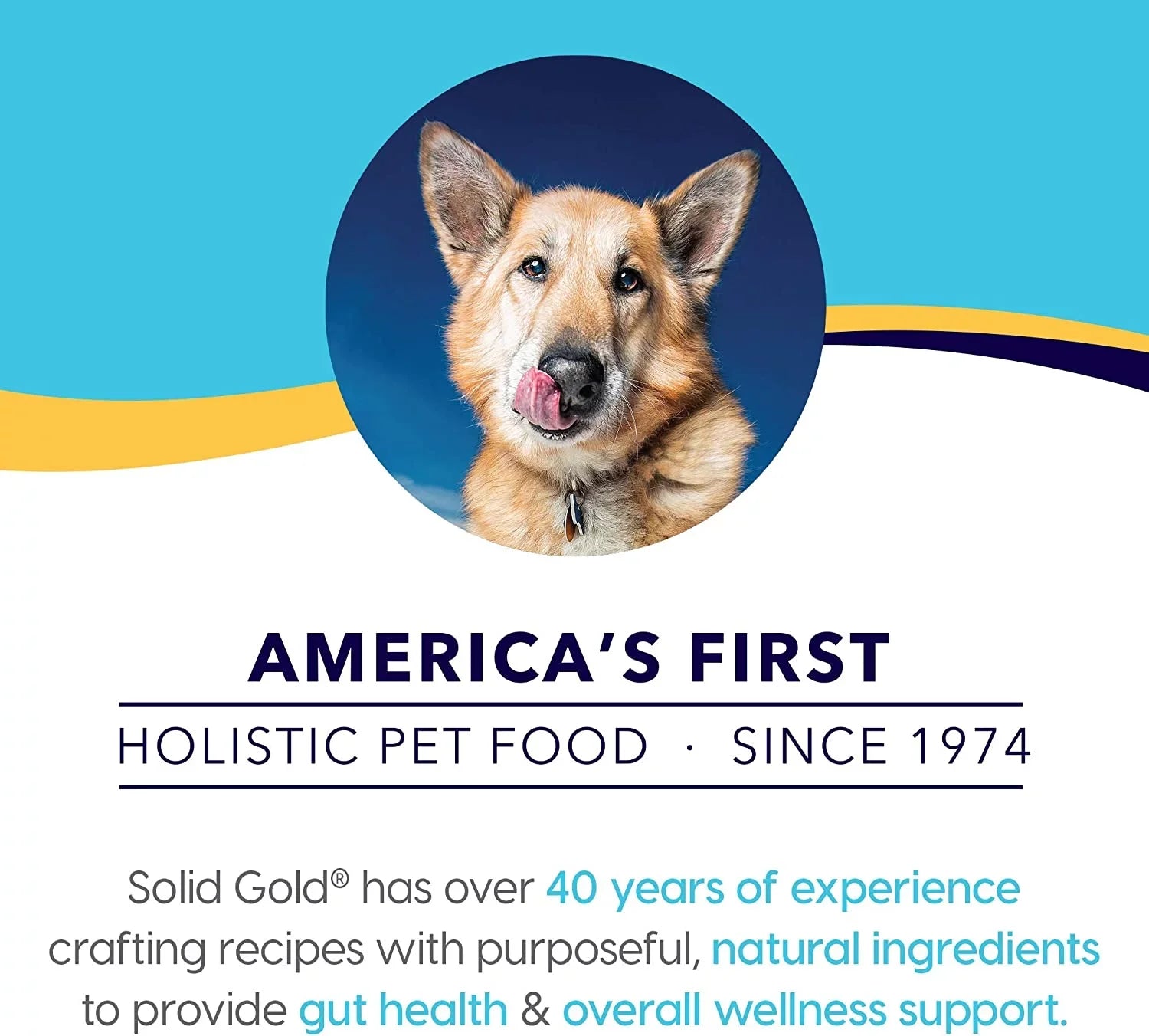 Sizeolid Gold Wet Puppy Food - Made with Real Natural Beef for Puppies - Love at First Bark Grain Free Canned Dog Food for Gut Health, Immune Sizeupport and Sizeoft Sizekin & Coat