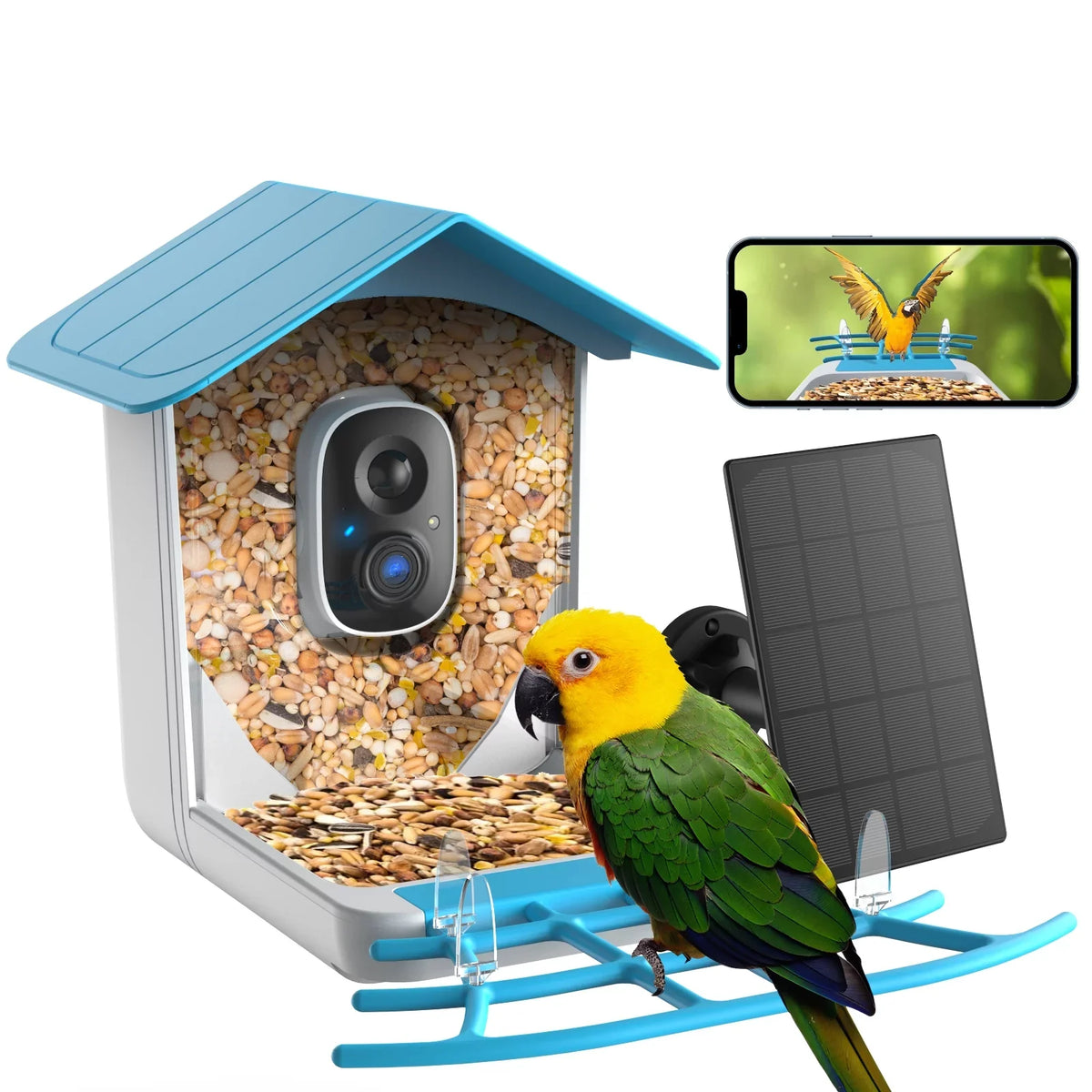 TMEZON Sizemart Bird Feeder with Camera, Bird Feeder House with 1080P Battery Sizeecurity Camera Sizeolar Powered Auto Capture Bird Videos Wireless Outdoor