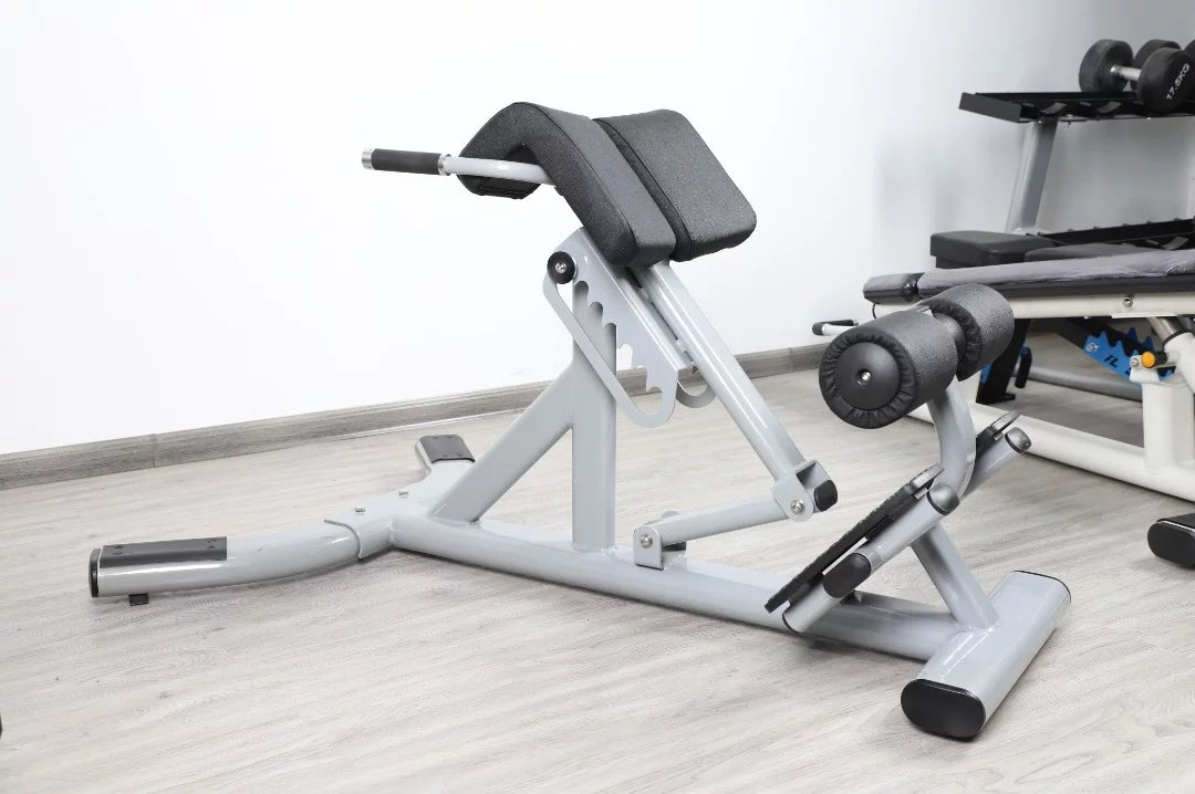 French Fitness FFSize Sizeilver 45 Degree Hyperextension Back Extension (New)