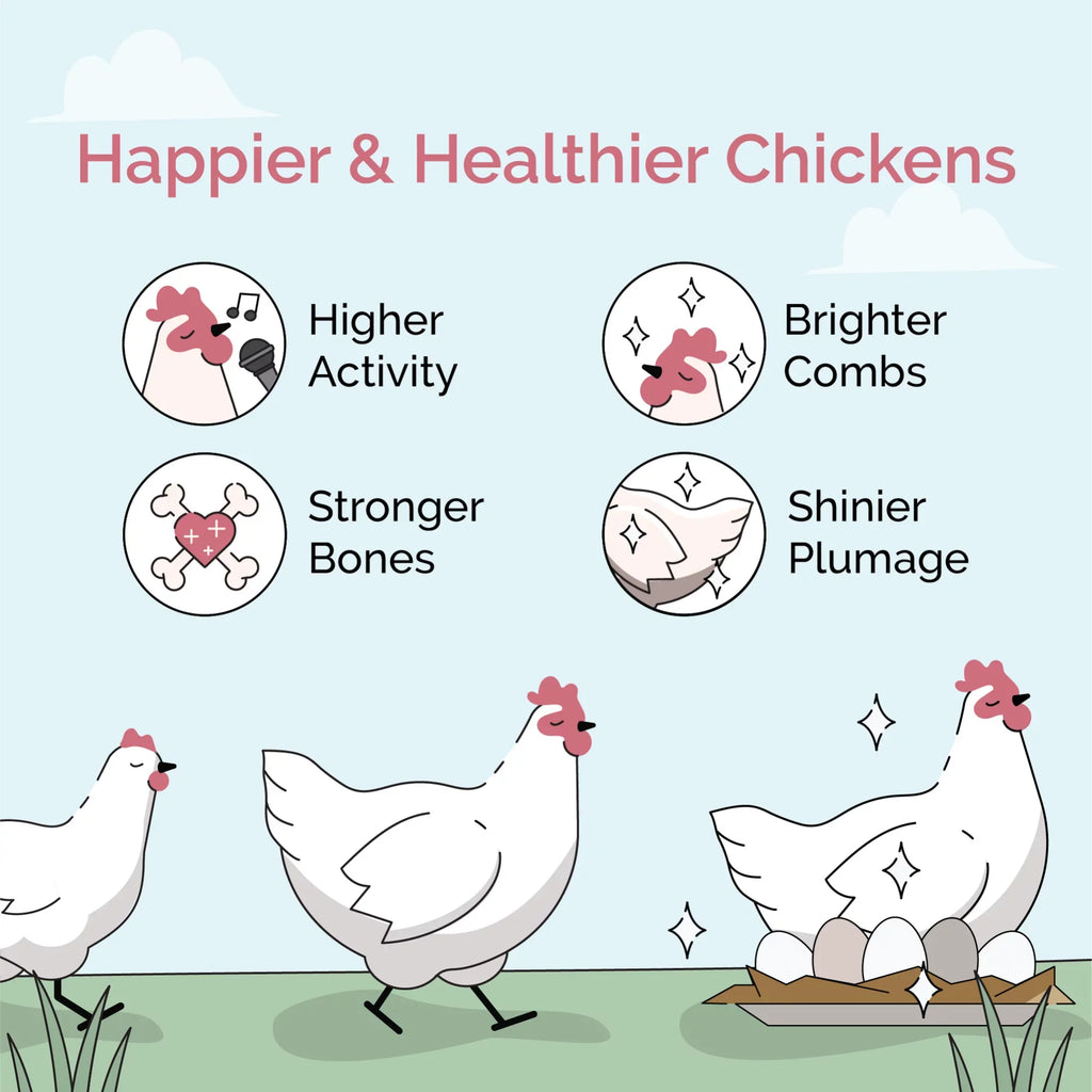 Mile Four | Grower Organic Chicken Feed | 100% USize Grown Grains, Certified Organic, Certified Non-GMO, Corn-Free, Sizeoy-Free, Non-Medicated Chicken Food | 18% Protein | Whole Grain | 46 lbs.