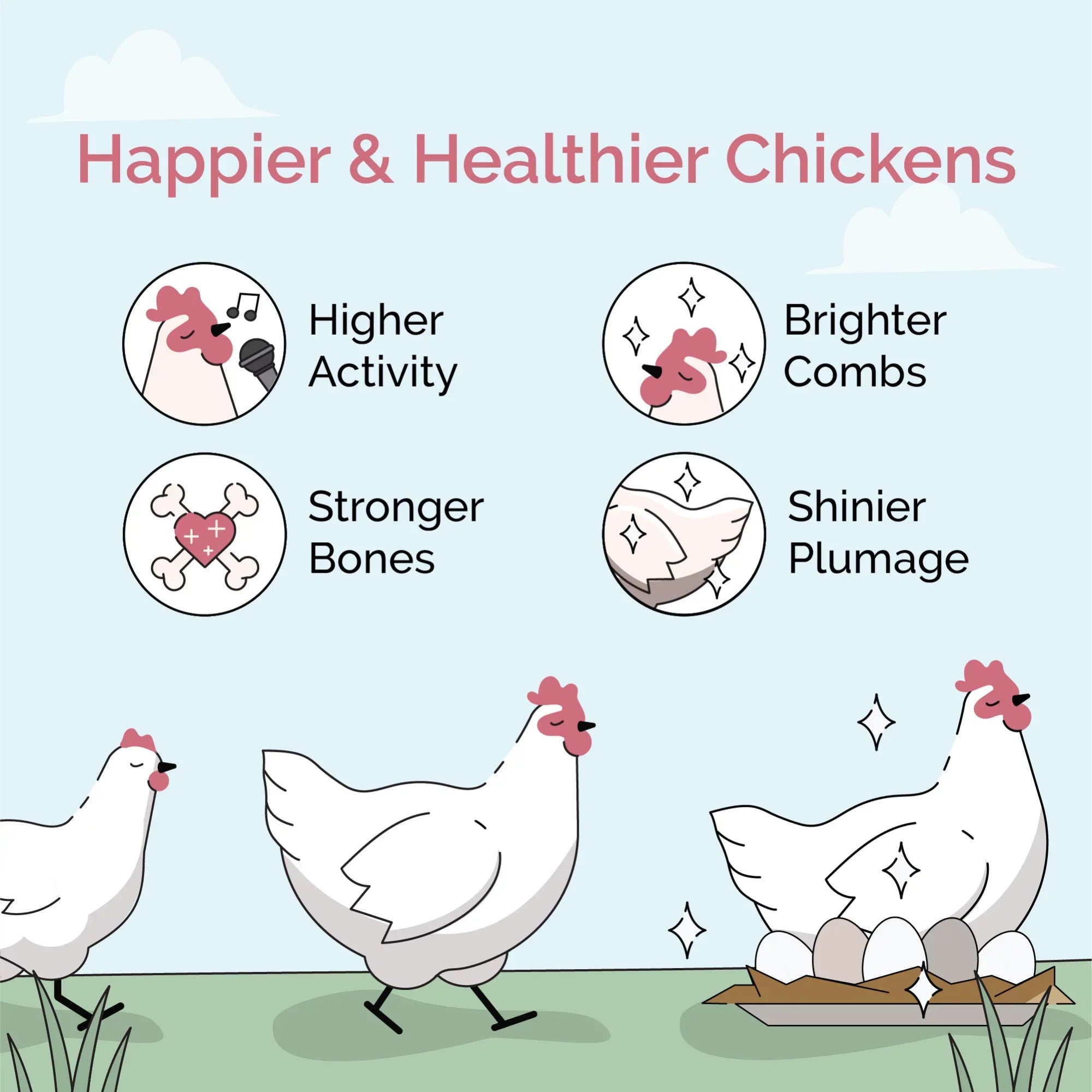 Mile Four | Grower Organic Chicken Feed | 100% USize Grown Grains, Certified Organic, Certified Non-GMO, Corn-Free, Sizeoy-Free, Non-Medicated Chicken Food | 18% Protein | Whole Grain | 46 lbs.