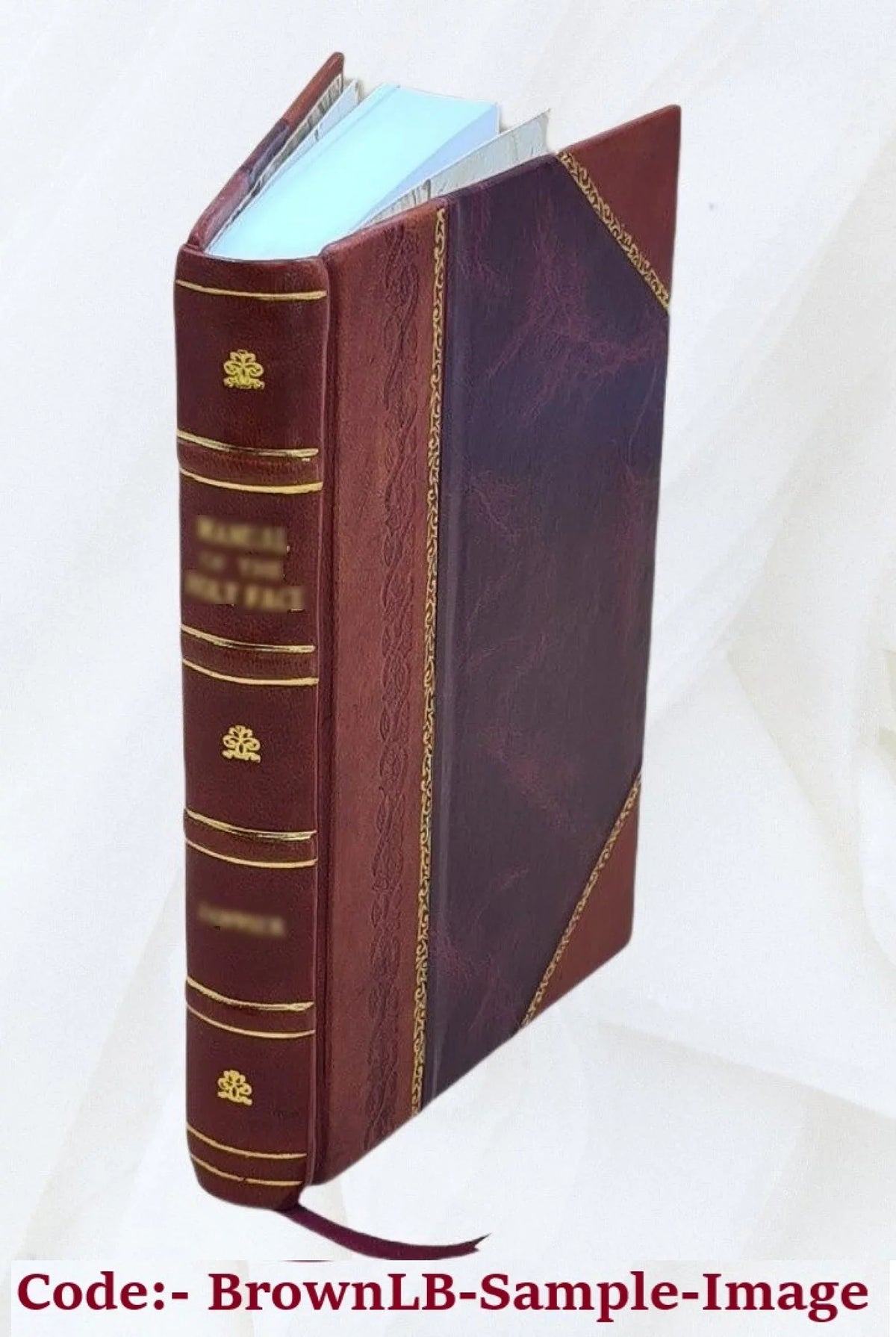 L'Anneau de Sizealomon, par M. de La Sizealle,.... Tome 3 1812 [Leather Bound]