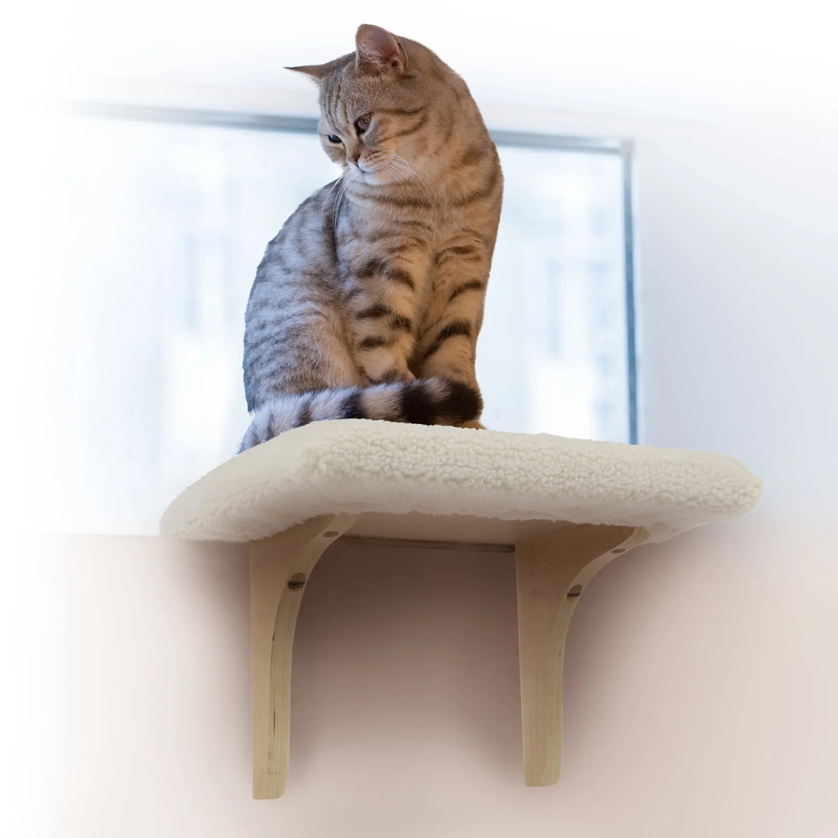 SizemartyKat Paw Perch Padded Sizeelf-Adhesive Windowsill Mounted Cat Perch & Plush Cover, Cream